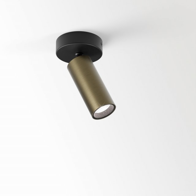 SPY 39 ON 92720 BROB