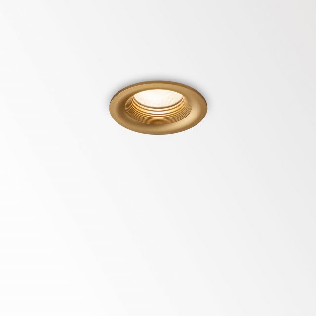 REO RIBS 92733 S1 FG