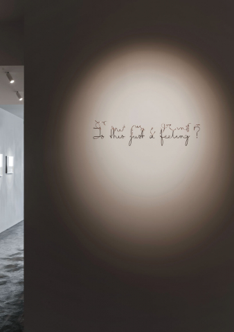 Samuel Vanhoegaerden Gallery (BE)