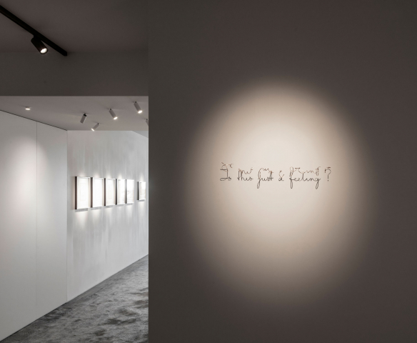 Samuel Vanhoegaerden Gallery (BE)