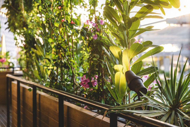 The Belgian Pavilion at Expo 2020 Dubai (AE)