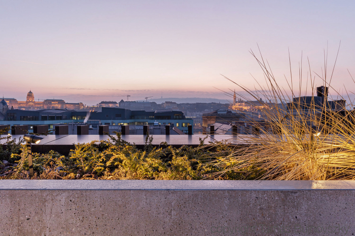 Central European University (HU)