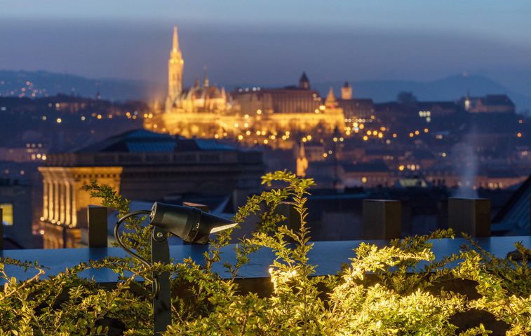 Central European University (HU)