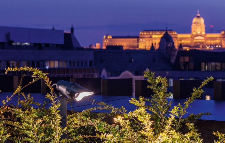 Central European University (HU)