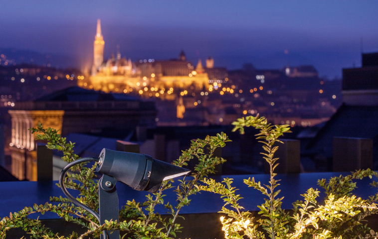 Central European University (HU)