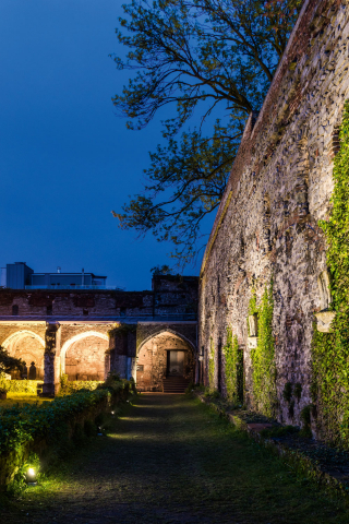 Expo Michiel Hendryckx Ghent (BE)
