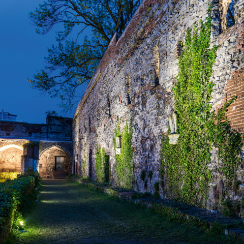 Expo Michiel Hendryckx Ghent (BE)
