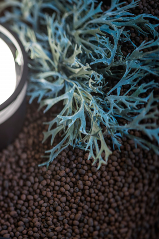 Light + Building 2018 - Stand Delta Light (DE)